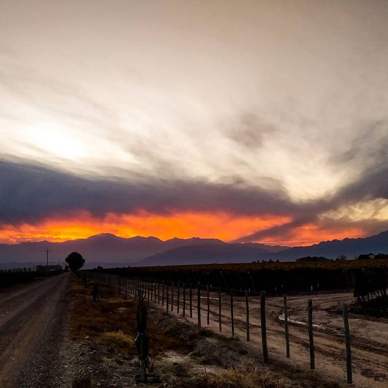 Atardecer en Mendoza por @lodgeayresdeuco Atardecer en Mendoza por @lodgeayresdeuco