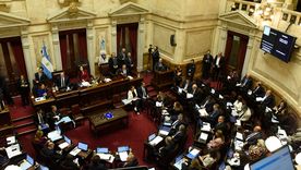 La mayoría de los senadores renunciaron al último aumento de dietas.