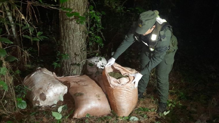 El estupefaciente estaba escondido en cinco bolsas y oculto entre la vegetación en Misiones Foto: Gendarmería Nacional