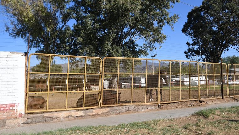 El paso del Zonda dejó una imagen impactante en 2023 y una reparación que se extendió en el tiempo. El paso del Zonda dejó una imagen impactante en 2023 y una reparación que se extendió en el tiempo.