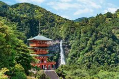 Miles de senderistas y peregrinos recorren los caminos de Kumano Kodo Foto: Shutterstock