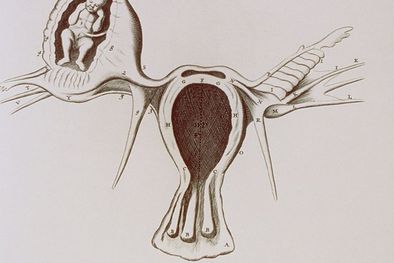 MDZol | Foto: GETTY IMAGES