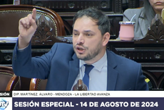 El diputado nacional Álvaro Martínez Foto: Captura de pantalla