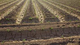 El Niño amenaza con sequías y grandes olas de calor.