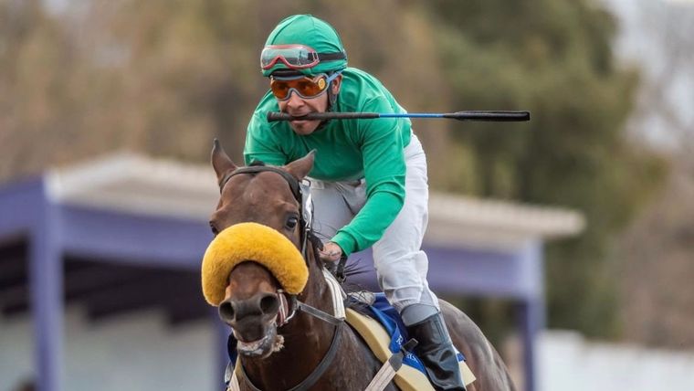 Optimist Boy parte como candidato en una de las centrales del sábado de carreras en Mendoza. Foto: Gentileza José Maluf
