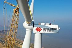 Un aluvión de inversores chinos en 2019 y 2020 desató un caos en la tala de balsa en Ecuador. Foto: GETTY IMAGES