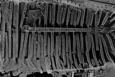el misterio del barco descubierto bajo las torres gemelas