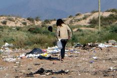 Foto: Ulises Naranjo.