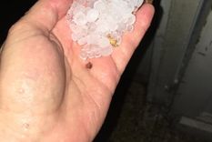 caida de granizo y calles anegadas en varios departamentos de mendoza
