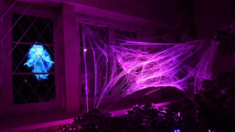 Entre luces, telones negros y calaveras, esta casa se convirtió en la favorita de Halloween en Mendoza. Entre luces, telones negros y calaveras, esta casa se convirtió en la favorita de Halloween en Mendoza.