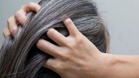 Efectivo y duradero: matiza tus canas  con un Shampoo  morado y luce fabulosa Efectivo y duradero: matiza tus canas  con un shampoo  morado y luce fabulosa.