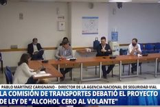 diputados: comenzo el debate del proyecto de alcohol cero al volante