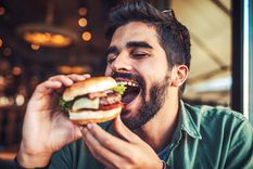 investigan si los grillos pueden ser una fuente de proteinas investigan si los grillos pueden ser una fuente de proteinas