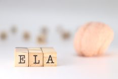 La Fundación Esteban Bullrich busca fomentar el trabajo sobre mejores condiciones de vida para los pacientes con ELA.