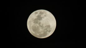 El fenómeno astronómico podrá observarse desde toda la Argentina, sin necesidad de telescopios ni instrumentos especiales. El fenómeno astronómico podrá observarse desde toda la Argentina, sin necesidad de telescopios ni instrumentos especiales.