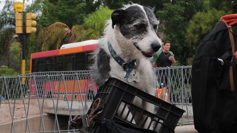 El hecho ocurrió en la Costanera. El hecho ocurrió en la Costanera. 
