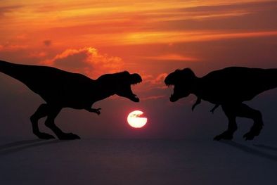 MDZol | El comportamiento sexual de los dinosaurios sigue estando en las sombras Foto: GETTY IMAGES