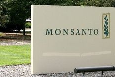 bayer hizo publica la millonaria oferta que hizo por monsanto