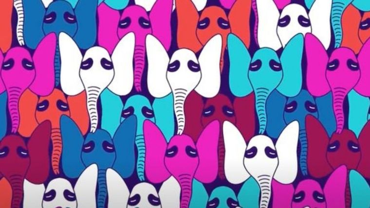 Acertijo visual, reto visual, elefante