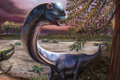 El nagatitán vivió entre hace 100 millones y 120 millones de años. El nagatitán vivió entre hace 100 millones y 120 millones de años.