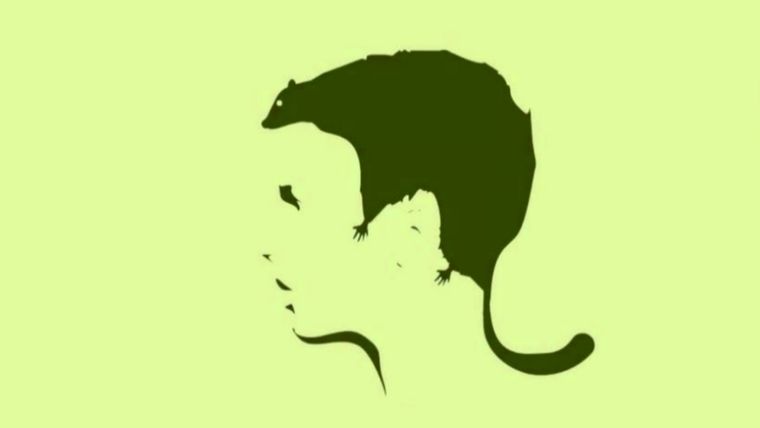 Test de personalidad