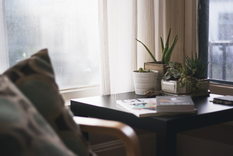 Las plantas le dan vida a los rincones del hogar. Foto: Foto: Pixabay - pixabay.com