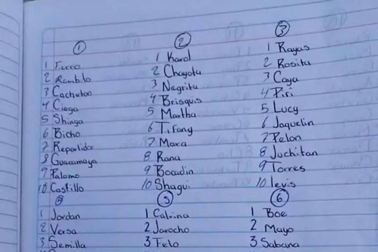 Uno de los hallazgos más impresionantes para los buscadores fueron una serie de listados en los que se contabilizaban e identificaban a los presuntos reclutas. En la imagen se ve que a algunos incluso se le tenían apodos como "cachetón" o "ciega".