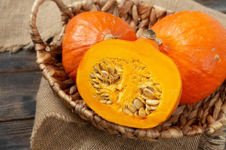Con estos consejos podrás plantar calabaza en tu huerto Foto: Shutterstock