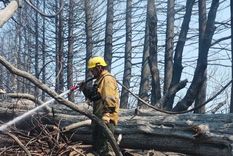 Los bomberos siguen trabajando para combatir las llamas en El Bolsón Foto: Gobierno de Rio Negro