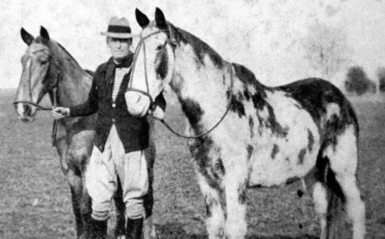 WhatsApp Image 2025-09-21 at 07.28.32