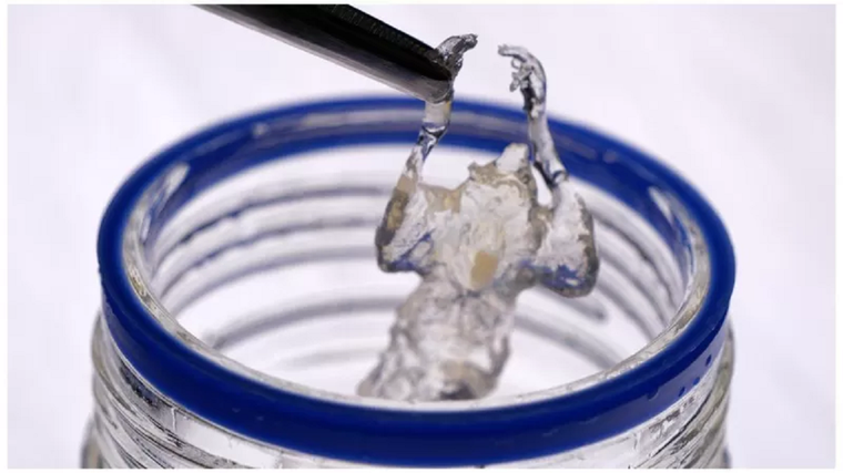 Todo dentro del ratón -sus nervios, tejidos y órganos- se vuelve invisible por un proceso químico. Foto: HELMHOTZ MUNICH