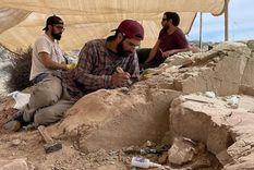 Los paleontólogos del Conicet transmiten en vivo esta búsqueda.