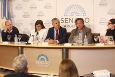alfredo cornejo culpo a cristina fernandez de kirchner por querer frenar una reforma opositora alfredo cornejo culpo a cristina fernandez de kirchner por querer frenar una reforma opositora