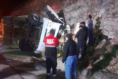 El camión transportaba una carga aproximada de 34 equinos.