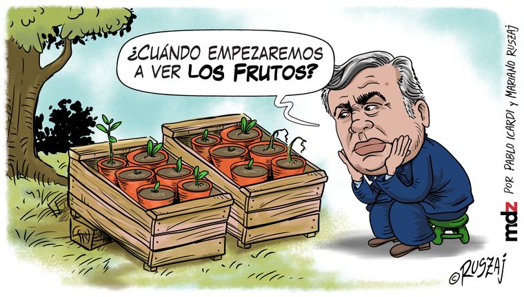 viñeta corregida cornejo frutos 2