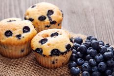 muffins de arándano Muffins de arándano Foto: splenda.com