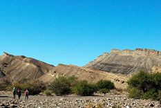 que paso en gondwana: el descubrimiento de mendocinos que ayuda a develar el origen de los dinosaurios