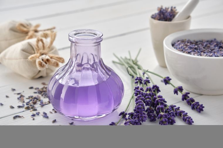 Foto: Shutterstock.com