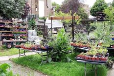 Los huertos urbanos dejan una huella de carbono seis veces mayor. Foto: Dpa.