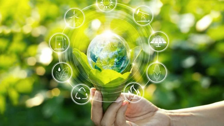 BYMA completó el proceso de compensación de su huella de carbono Foto: MDZ