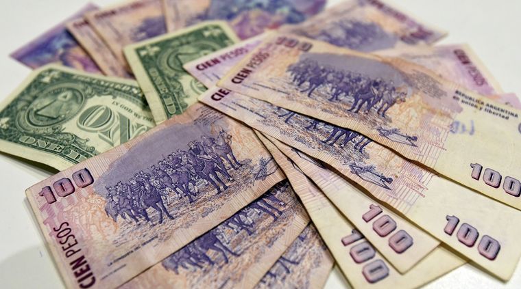 Plazo fijo en pesos o compra de dólares, ¿qué conviene más? Foto: ALF PONCE MERCADO / MDZ