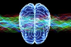 ¿En qué espectro de androginia cae tu cerebro?