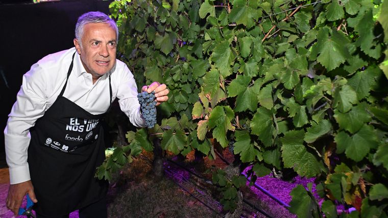 El gobernador cosechando. El gobernador cosechando.