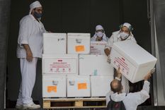 Entre hoy y mañana las vacunas Sinopharm llegarán a las provincias Foto: Telam Entre hoy y mañana las vacunas Sinopharm llegarán a las provincias Foto: Telam