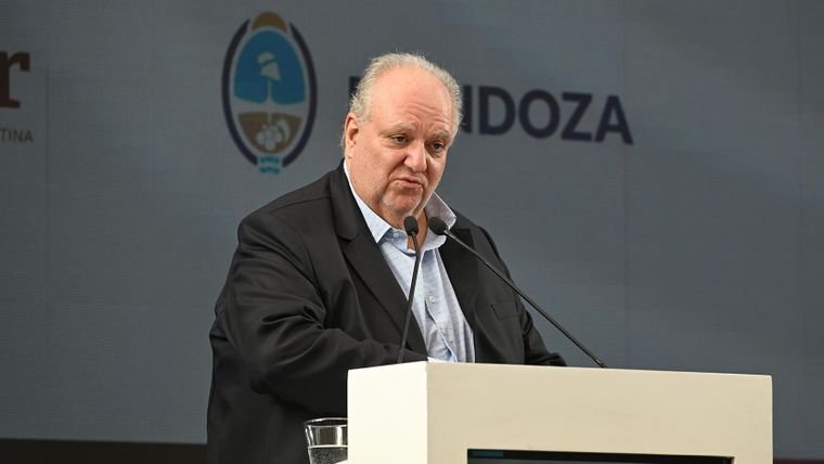 El presidente de Coviar, Fabián Ruggeri. El presidente de Coviar, Fabián Ruggeri.