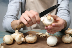 La Dirección de Educación Superior de la DGE aprobó el plan de estudios de la formación en productor de hongos comestibles en Santa Rosa. Los detalles. Foto: Shutterstock.