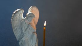 Traen la paz al mundo. Foto: Fuente: Shutterstock