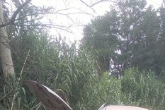 Una pareja circulaba en estado de ebriedad, volcó en Maipú y terminó hospitalizada Foto: NA