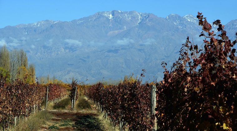Mendoza pierde su matriz productiva como consecuencia del avance de emprendimientos inmobiliarios en zonas de campo. Foto: ALF PONCE MERCADO / MDZ