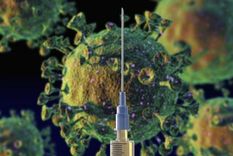 Nuestro organismo tarda unos 14 días en fabricar anticuerpos tras recibir la vacuna. Foto: GETTY IMAGES